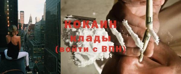 мяу мяу мука Арсеньев