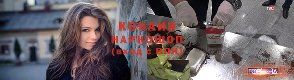 мяу мяу мука Арсеньев